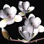 3ds max magnolia hakumokuren