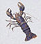 lobster 3d pz3