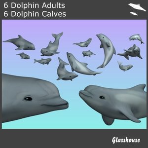3d dolphins model