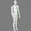 male body template human 3d model
