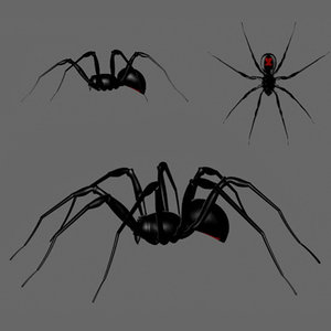 imagination spiders 3d model