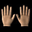 3d hands