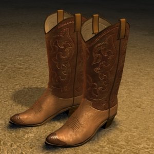 cowboy boots zipped 3ds