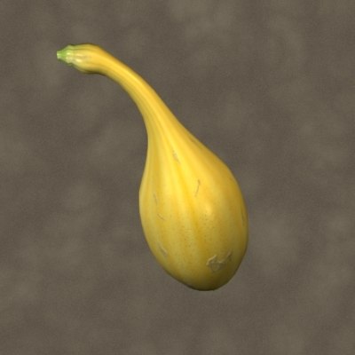 3ds max yellow crookneck squash zipped
