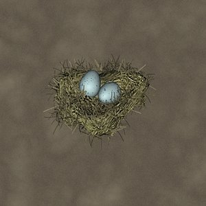 maya bird nest zipped