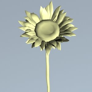 3ds sunflower flower sun