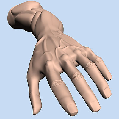 poseable hand 3d model