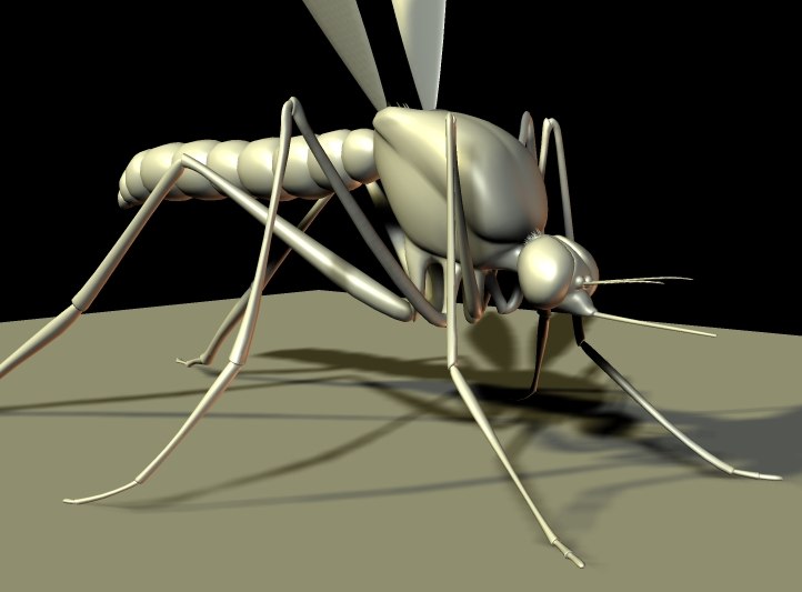 mosquito 3d model