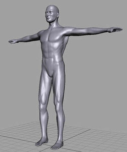 human male 3d model