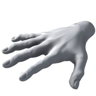 hand 3d model https://static.turbosquid.com/Preview/000202/423/WL/hand-3d-model_D.jpg