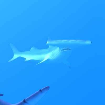 shark vacuum