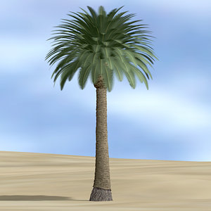 date palm l 3d model