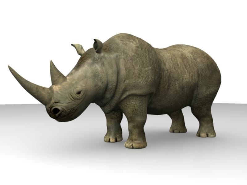 Rhinoceros 3D 7.31.23166.15001 for apple download