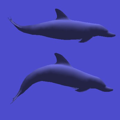 3d model of swimming dolphin kick