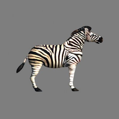 talking zebra toy