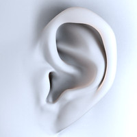 realistic_ear