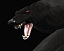 3d model werewolf wolf