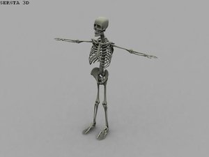 Free 3d Skeleton Models Turbosquid