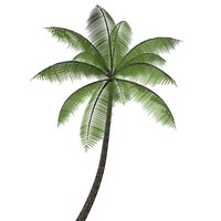 Free Palm Tree 3d Models For Download Turbosquid - 3ds max palm tree models free download