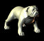 bull bulldog dog 3d model