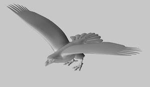 3d bald eagle model