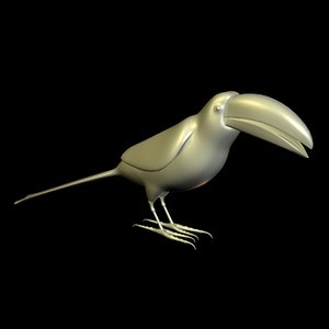 toucan birds 3d model