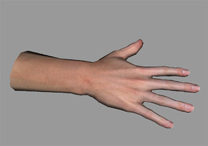 human hand 3d model