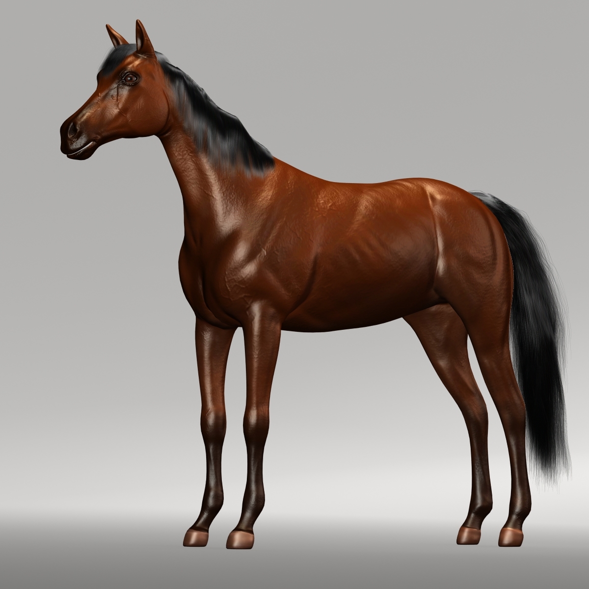 马和骑师3d模型