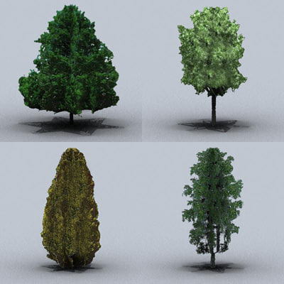 tree 3d model