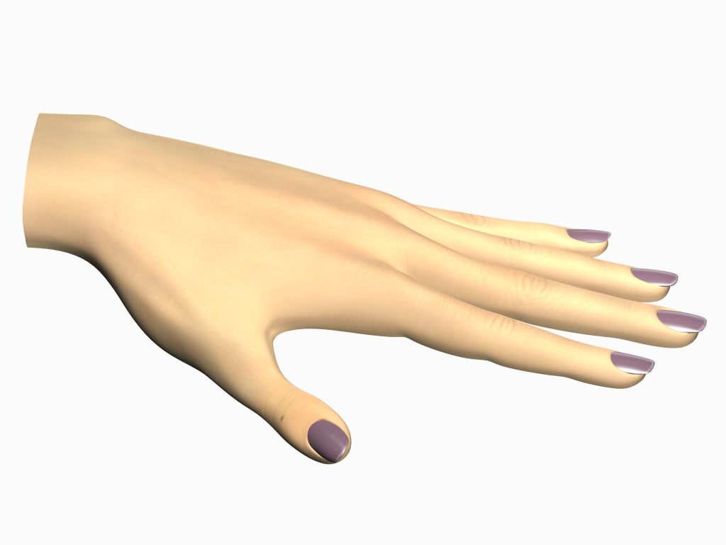 poseable hand 3d model online