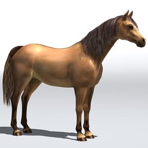 animal horse 3d model
