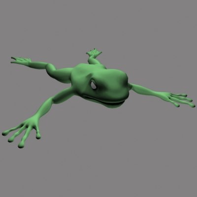 3d frog model