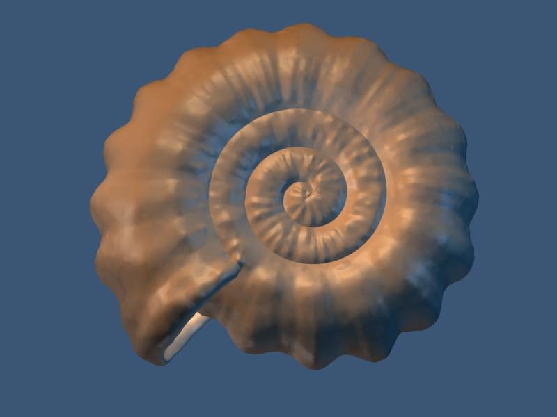 3d prehistoric sea shell