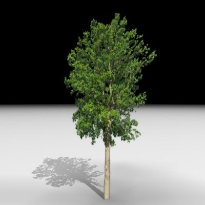 3ds max tree j3d