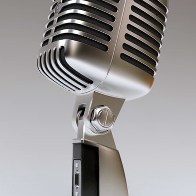 mic 55sh 3d model