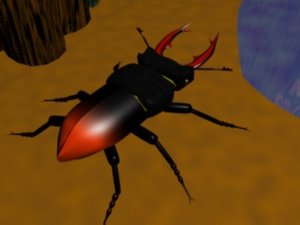 max stag beetle