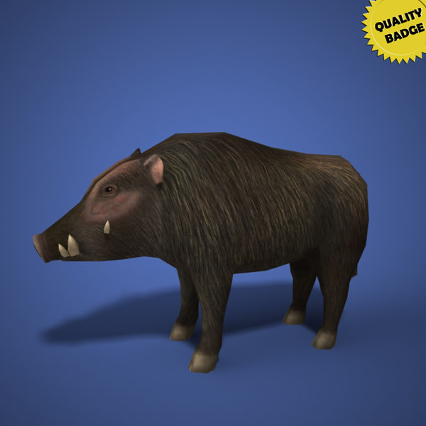 3d boar animal lightwave