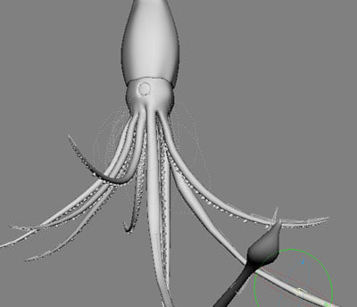 3d model of squid