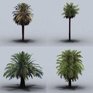 3ds max date palm trees