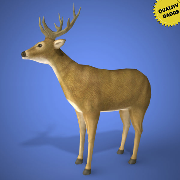 real time deer 3d model