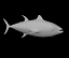 3d tuna fish model