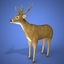 real time animals pack 3d model