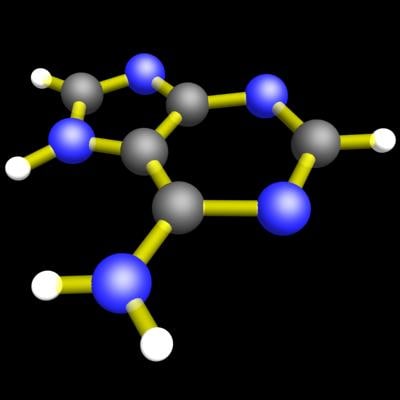 3ds max腺嘌呤模型