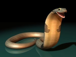 king cobra snakes 3d model