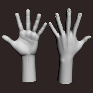 3ds max realistic male hand