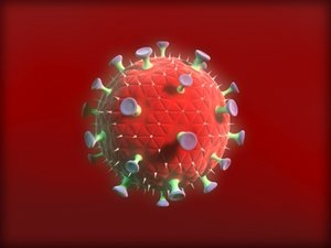 3d model aids virus