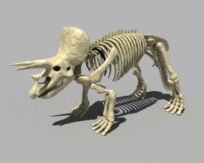 complete t rex skeleton triceratops