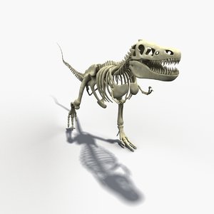 t-rex skeleton 3d model