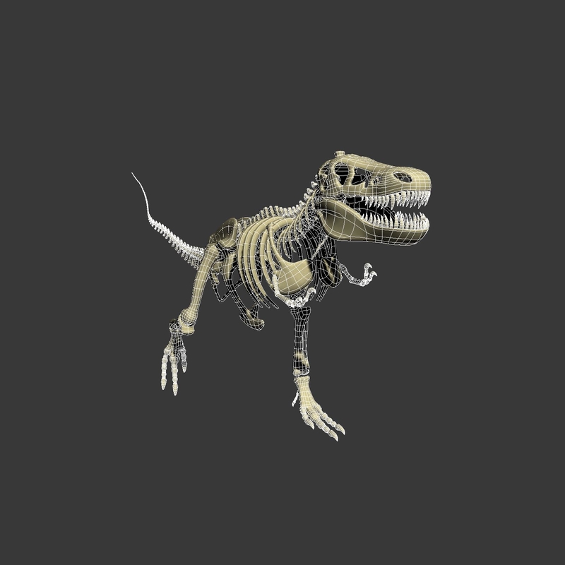 t rex skeleton 3d