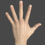 male hand modeled 3d model